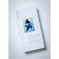 Manasi 7 Microbioskin Discovery Set