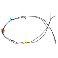 Nomia Confetti Belt in Orange Multi
