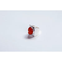 Nomia Carved Nautilus Shell Ring in Red Onyx