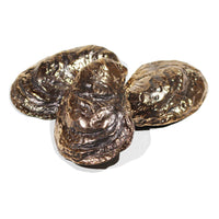 Mau House Oyster Bottle Opener