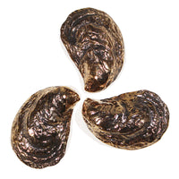 Mau House Oyster Bottle Opener