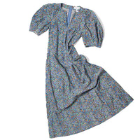 Apiece Apart Sculpted Sabina Maxi Dress in Cloud Cottage Floral