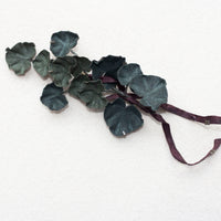 Pas de Calais Corsage in Geranium