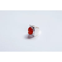 Nomia Carved Nautilus Shell Ring in Red Onyx